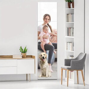 Sgpǂł\銄ȂǊ|~[\鋾AN~[Uh~sv֗yʗ֕ǃrON[[bg(30x30cm4Zbg)