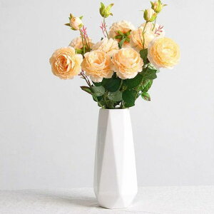 ԕrԕrԂт񂨂t[x[XԓԂт񔒃Vv傫JrFukukarт񓩊픒Ԋ(zCg)