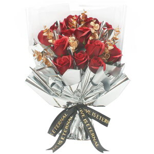 LOZIZI\[vt[MtgԌ͂ȂKN̉ԑԃoav[gԋLO