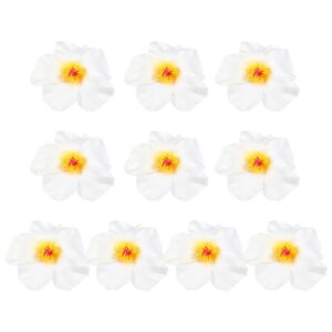 STOBAZAnCrXJXt[ԃnCrXJX̉10nC̑ԔnCACӃzf[p[eB[ߑIWfR[VpwAANZT[zCg