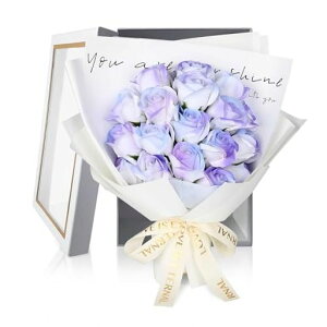 HANASPEAK\[vt[ԑ̓ƎhV̓o^Cf[Ԓav[glCt[Mtg1(Dream)