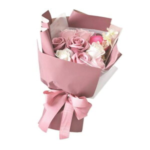 |s[É\[vt[V{t[ԃMtgv[g9փu[Poԑ30cmy[p[obOtS-139sN