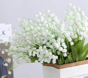 siawadekyԉԑXY1632{t[u[PVNt[闖CeAEGfBOu[PČ͂ȂԃA[gt[BelHԃMtgjԑ