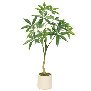 FEELEADtFCNO[lHϗtApLK̖،G}AA؍98cmCeAO[ꎺp