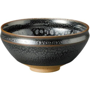 �G�[���l�b�g(Ale-net)�����q���H�V�ڋ��`�����q������Z�ē��{����������������q