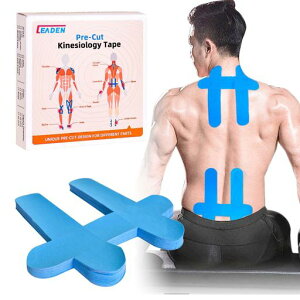 IEADENe[sOe[vLlVIe[vNX}Xv[ge[sOLkLlVIW[e[v̋ؓE֐߂T|[ge[vwr[teBOAoXPbg{[Aoc