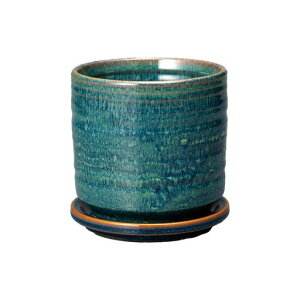 GR~[AؔgRJEjXNVbN|bglCr[TRKN-016