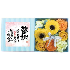 L[t(Q-FLA)\[vt[oXtOXЂ܂|G{bNXrrbgIWӃbZ[WJ[hMtgv[g812149