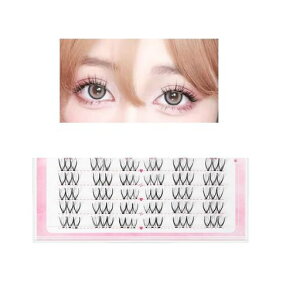 ܂GNXeVc[i`̖ڋÛ܂ڐAV^V^܂