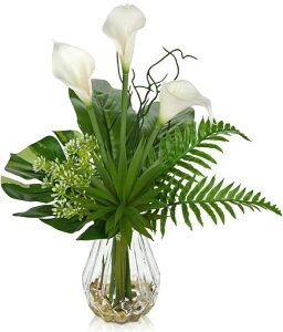 VillaComotFCNO[CeAO[lHϗtAtFCNJ[[VzjJXjVNNX}XItBXXエ