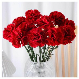 J[l[V11{ԃJ[l[VԌ͂ȂԐsvȂlHϗtAA[gA[eBtBVt[kVvCeA֕Mtc