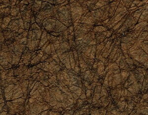 ʂˌÎAY-04aǎzOaNtgӂ܎sRRfޒH92cmx50cm