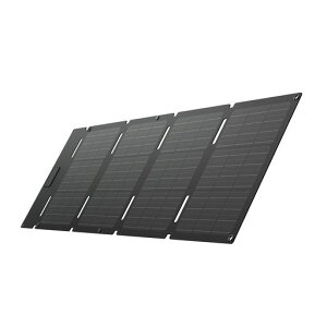 EcoFlow 45W �\�[���[�p�l�� Type-C ���o�� �\�[���[�`���[�W���[ N�^�\�[���[�Z�� �P�����V���R�� 25%���ϊ����� �X�}�[�g�t�H���E�J�����Ȃǂɒ��ڏ[�d �\�[���[�[�d�� IP68�h���h�o �G�R�t���c