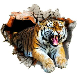 EH[XebJ[̒̃^CK[3DgV[EH[V[EH[fRk_A[g|X^[XebJ[EH[y[p[hEH[Cc