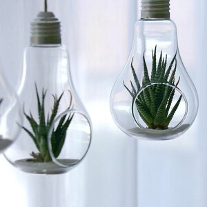 Milisten2d`nMOv^[KX݂艺v^[t[x[X͔|ϗtAAeEꃊrOVoX[Av^[ԕr