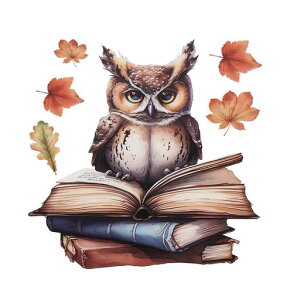 TOCCOOL�t�N���E�E�H�[���X�e�b�J�[�f�R���[�V�����N���G�[�e�B�u�ƒ�p�|�X�^�[���w�����Q�����r���O�X�^�f�B���[�ȂǂɓK���Ă܂�(PVC�f��)