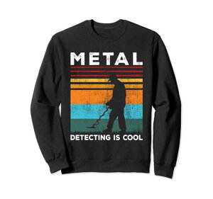 gȋTm@DetectoristTm@͂g[i[