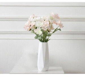 ԕrt[x[Xk傫CeAԊ퐶ԃhCt[Z~bNXԊԓ傫JrzCg24.2cmтkZ~bNCeAƂ̑vc