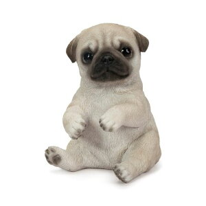 �E�[�r�A�p�O���u���V����8x6.5x9.5cm�l�`�t�B�M���A�u�����A�j�}�������K�[�f���������C�kH23063