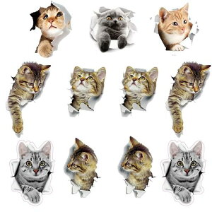 EH[XebJ[L킢EH[XebJ[L[LV[3D[3DXebJǑǎV[LǎǏCeAV[ΏۂɃg֐Qq