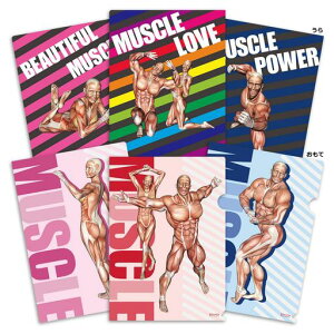 ؓƋ؎YRNV1NAt@C3ZbgA4TCY