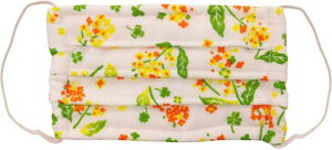 ܂ݍH|{}XN؂̉17x10x0.5cm