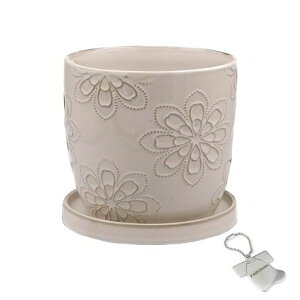 J-kitchensSelectԕrAؔkԖfUC|bgzCgL15.5xH14.5cmIWi^Ot