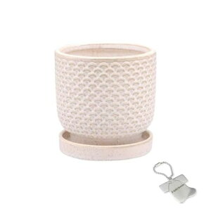 J-kitchensSelect花瓶陶器植木鉢網目デザインポットアイボリーSΦ10xH9.5cmオリジナルタグ付