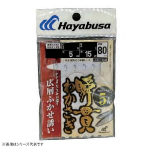 nuT(Hayabusa)uт킩HcLclLwtJZ5{C2601-0.2