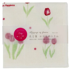 R[WJpj[␶n7dӂ񃌃fB[X30x30cm{Ԍt`[bv501693