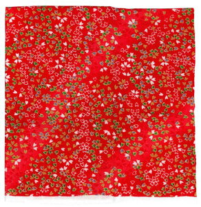 INAZUMA߂񕿕23cmx33cm1AT14-1G|EnhChpi