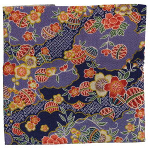 INAZUMA߂񕿕23cmx33cmOf1M2867-4G|EnhChpi