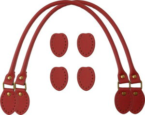 NASKA背U[48cmCol.4ԍvB1