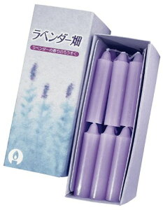 ۊނ炽x_[낤18{LV-07