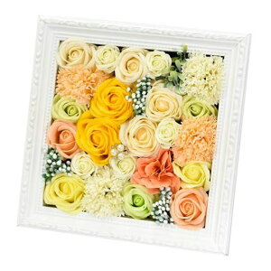 |s[É\[vt[V{t[ԃMtgv[gt[t[oz24cmP[XS-200CG[