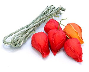 RꏤX~肨~piق5B-853