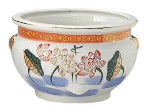 ���F����^���F��[5��]|����d�p�i�茳���{���ٗp