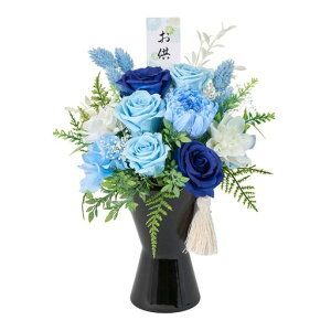 (Tokyodo)vU[uht[AWgԋԑ[]W18xD18xH25cm1ZY004909-zzz