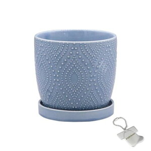 J-kitchensSelectԕrAؔtfUC|bgu[S12xH11cmIWi^Ot