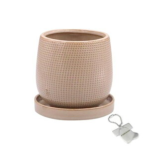 J-kitchensSelectԕrAؔzڃfUC|bguES10.5xH10cmIWi^Ot