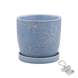 J-kitchensSelectԕrAؔkԖfUC|bgu[S12xH11cmIWi^Ot