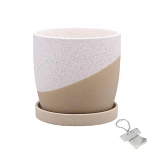 J-kitchensSelectԕrAؔĂfUC|bgA-SzCg12xH11cmIWi^Ot