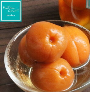 400gɋKiύX 2024N V ǃVbvЂ 400g 쌧ȎsY  R|[g ̂Ȃ̐@ōMB񂸂̃VbvЂ av[g v`Mtg  Lx ibc