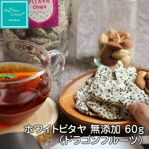  zCgs^ 30g/60g Y sgp t[YhC s[^[o MtgfUC v`Mtg e j a v[g ueƌNT|[g閂@̃hCt[