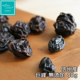 ハッピーナッツカンパニー 巨峰 信州産 無添加 40g/90g 砂糖不使用 ご褒美 プチギフト ナッツ ドライフルーツ 専門店 ブランド 湘南鎌倉・横浜