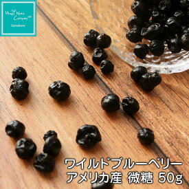 ハッピーナッツカンパニー アメリカ産 ワイルドブルーベリー 微糖 50g/200g ご褒美 プチギフト 砂糖不使用 ドライフルーツ専門店 ブランド 湘南鎌倉・横浜