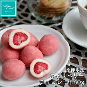 2025 Vi \񏳂܂B10{`o׊Jn Gߌ Xgx[ `R VR 60g J v`Mtg v[g ibcX nbs[ibcJpj[ Ó슙qEl o