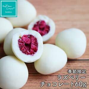 2025 Vi \Jn v܂B10{`oח\胉Yx[VR 60g `R[g & hCt[c  Lx v`Mtg v[g nbs[ibcJpj[ Ó슙qEl Happ