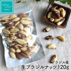 uWibc 55g/120g cXŐlC ˂LfUC y[Y ib c  Y 11̍R_܂܂ v[g v`Mtg //TCY  Lx ibc