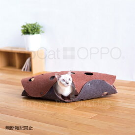 ■OPPO FabCat tunnel○